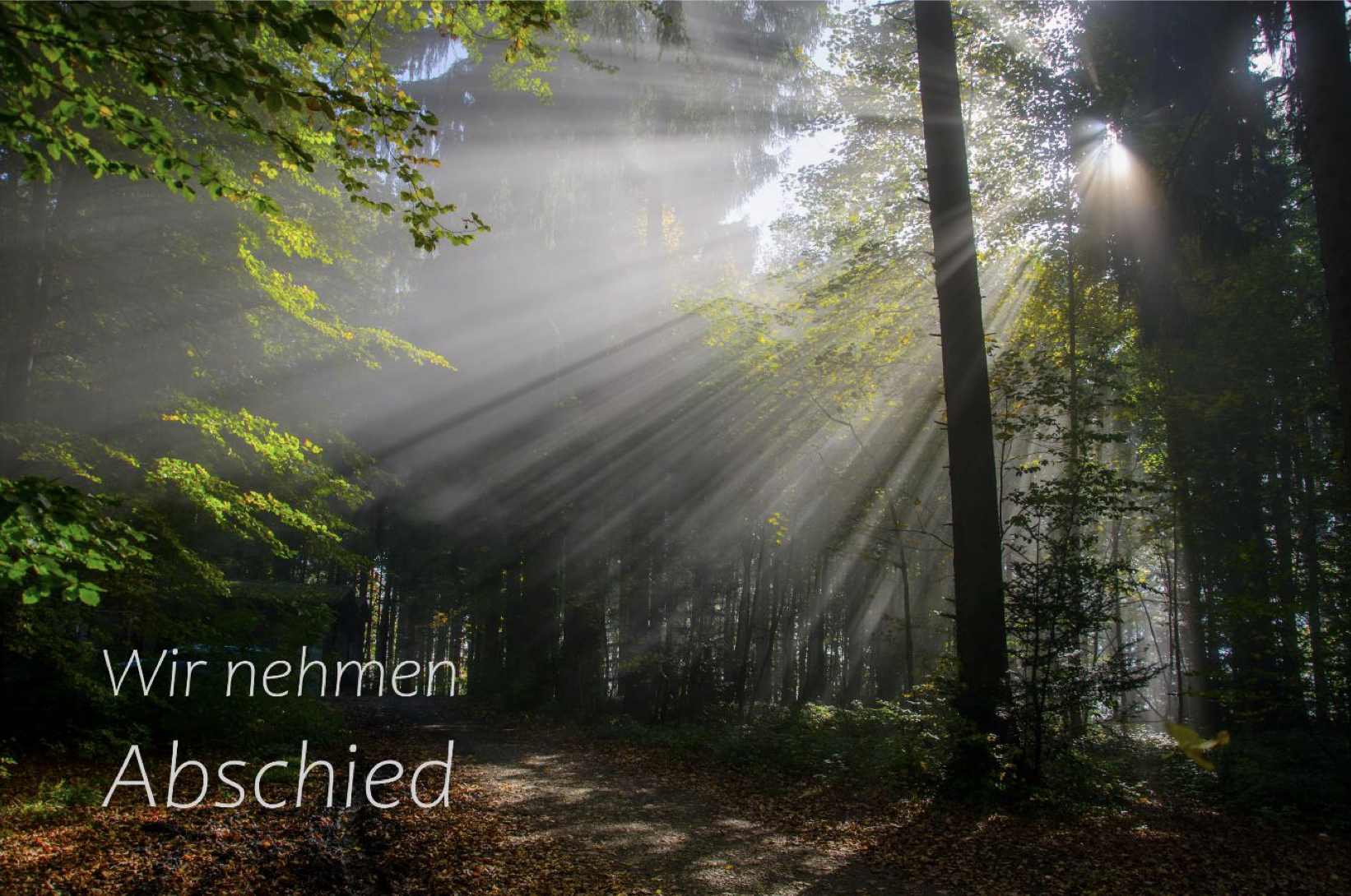 Erwin Schorr verstorben